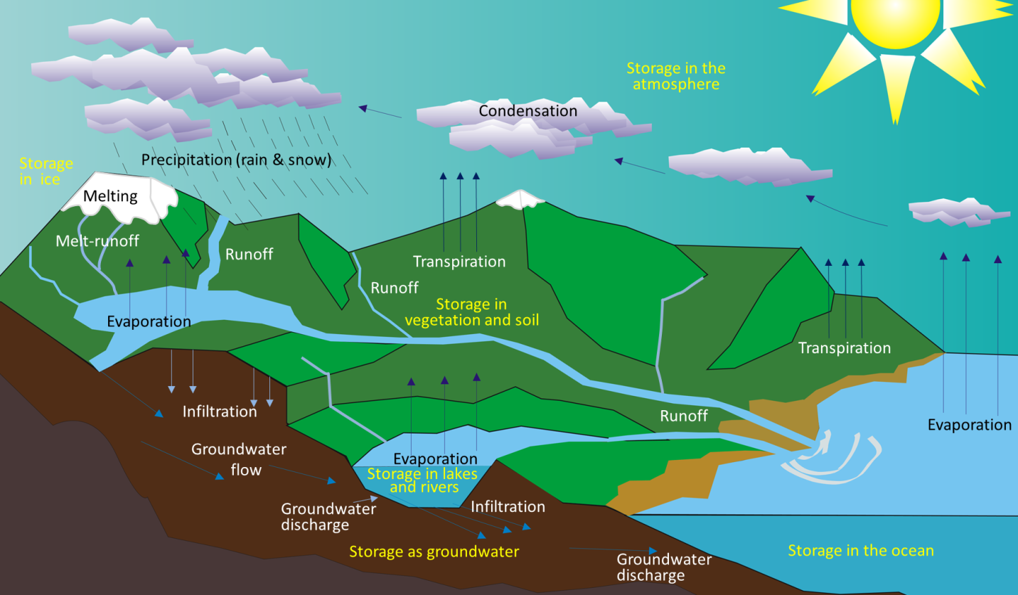 Ocean Formation